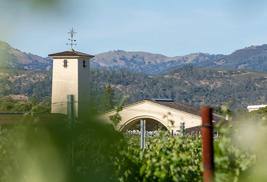 Image of Robert Mondavi Winery arch with vineyard and mountains.