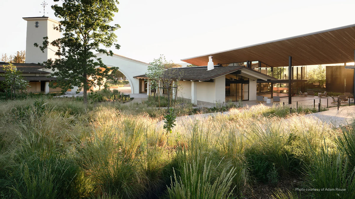 A modern architectural outdoor scene with a low-profile building, a tall tower, a large overhanging roof, and tall ornamental grasses in the foreground at golden hour.
