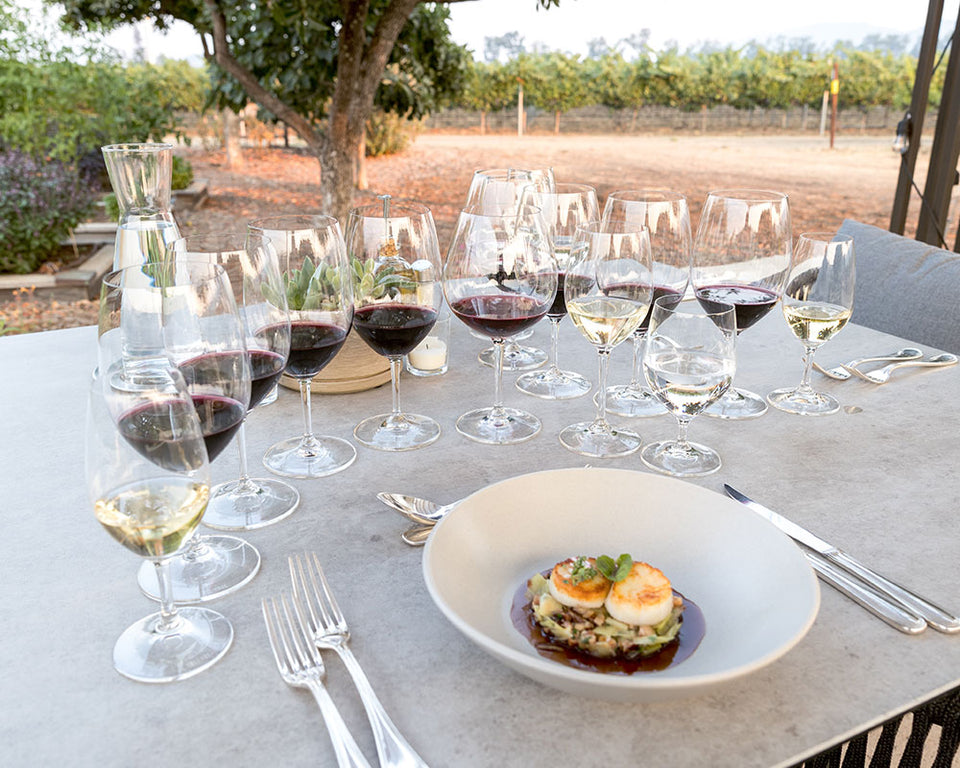 A plate of food surrounded by a flight of wines. The vineyards are in the background.