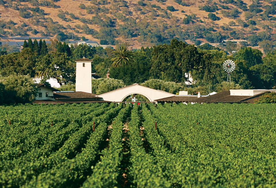 Image of vineyard and winery arch.