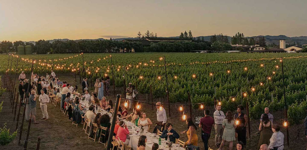 Dinner party in a vineyard with string lights and a scenic view.