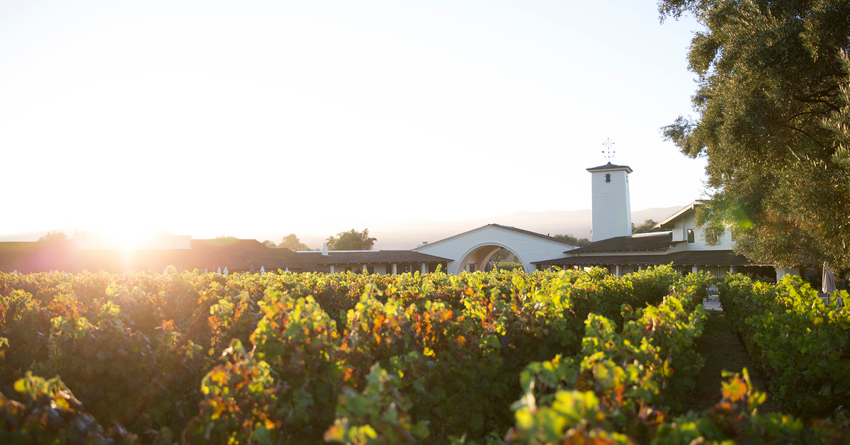 Image of the Robert Mondavi arch and tower view from the vines with the sun shining 