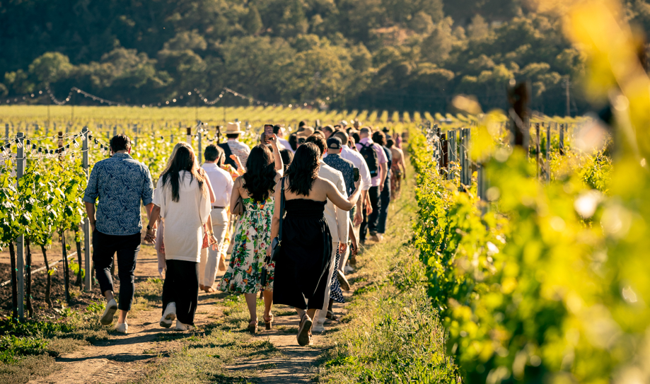 Mondavi Winery Visitors